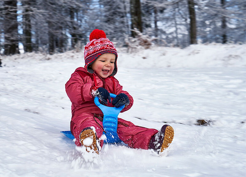 Schlittenfahren im Bayerischen Wald